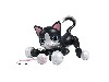 Zoomer Kitty