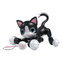 Zoomer Kitty
