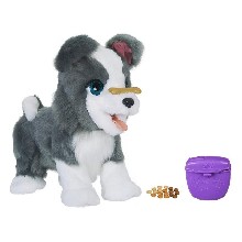 Ricky, the Trick-Lovin' Pup (fur...