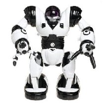 Mini Robosapien