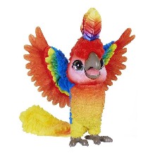 Rock-a-too, the Show Bird (...